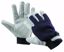Obrázek PELICAN BLUE zimní rukavice 