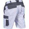 Obrázek z MAX ECO STRETCH shorts  