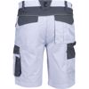 Obrázek z MAX ECO STRETCH shorts  