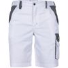 Obrázek z MAX ECO STRETCH shorts  